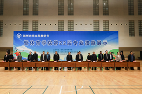 埃弗顿 vs 阿森纳